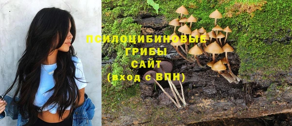 jwh Абаза