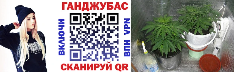 площадка какой сайт  Карабаново  Марихуана тримм  где купить наркоту 